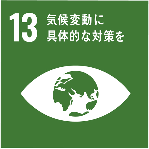 SDGs-13